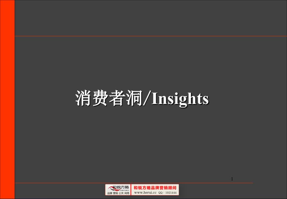 [和锐方略] 消费者洞察ppt---yz2010_第1页