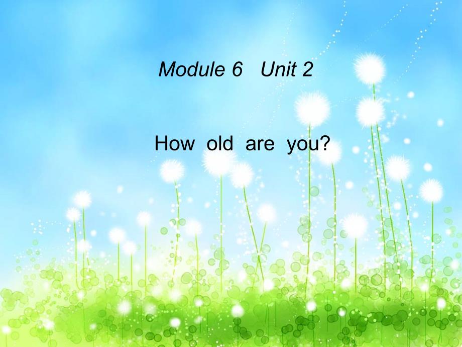 外研版英语三起三年级上册Module6unit2Howoldareyouppt课件_第1页