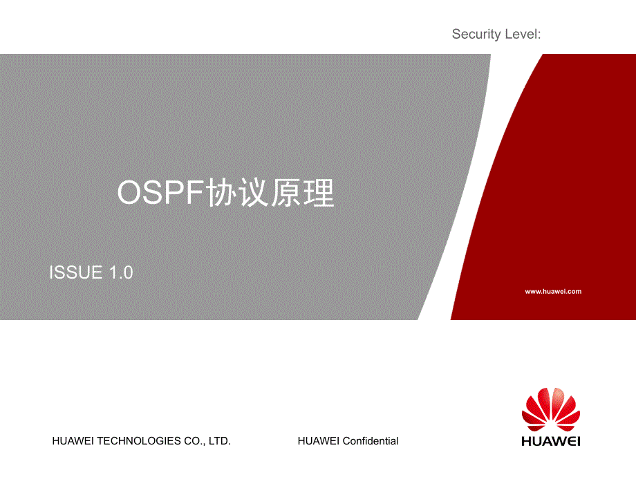 OSPF协议原理_第1页