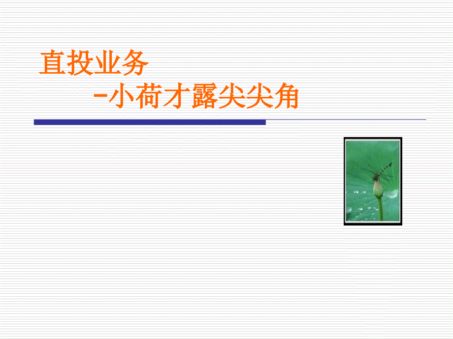 券商直接投资课件_第1页