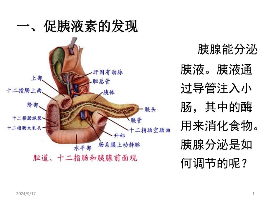 生物第二章动物的生命活动调节第三节高等动物的内分泌系统与体液调节人和高等动物的激素调节课件_第1页