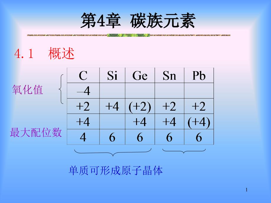 化学奥赛夏令营(选拔赛)辅导讲义--无机化学(碳族)_第1页