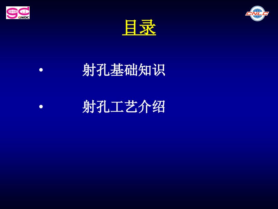 2、射孔工艺技术_第1页