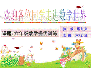 蘇教版 小學(xué)六年級(jí)數(shù)學(xué)畢業(yè)復(fù)習(xí)精講精練課件