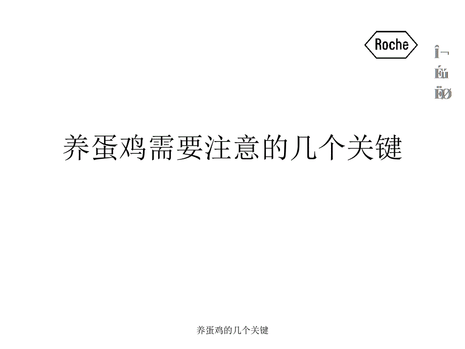 養(yǎng)蛋雞的幾個(gè)關(guān)鍵課件_第1頁