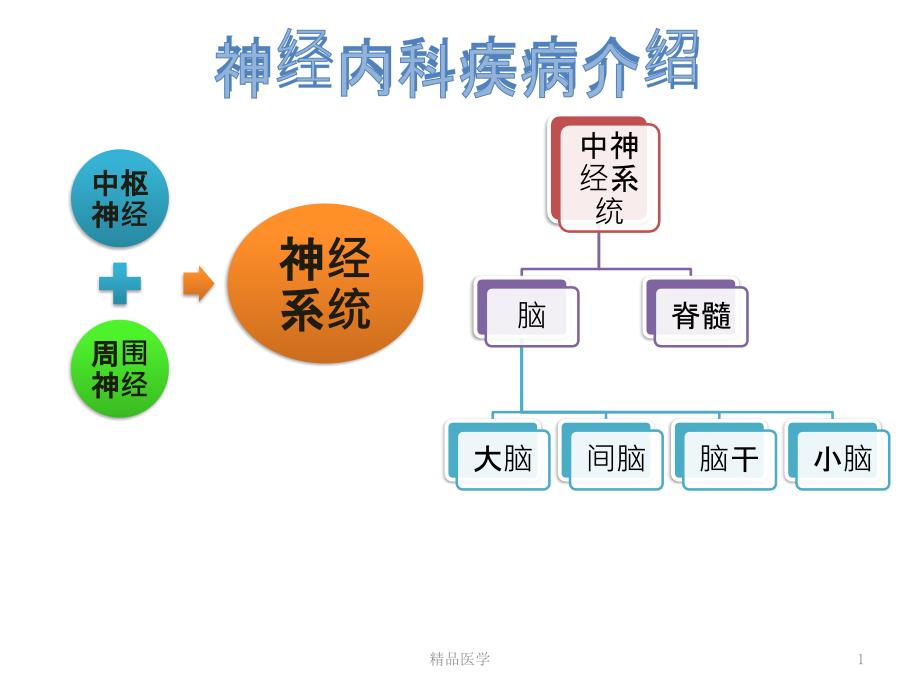 《急性缺血性卒中》課件_第1頁