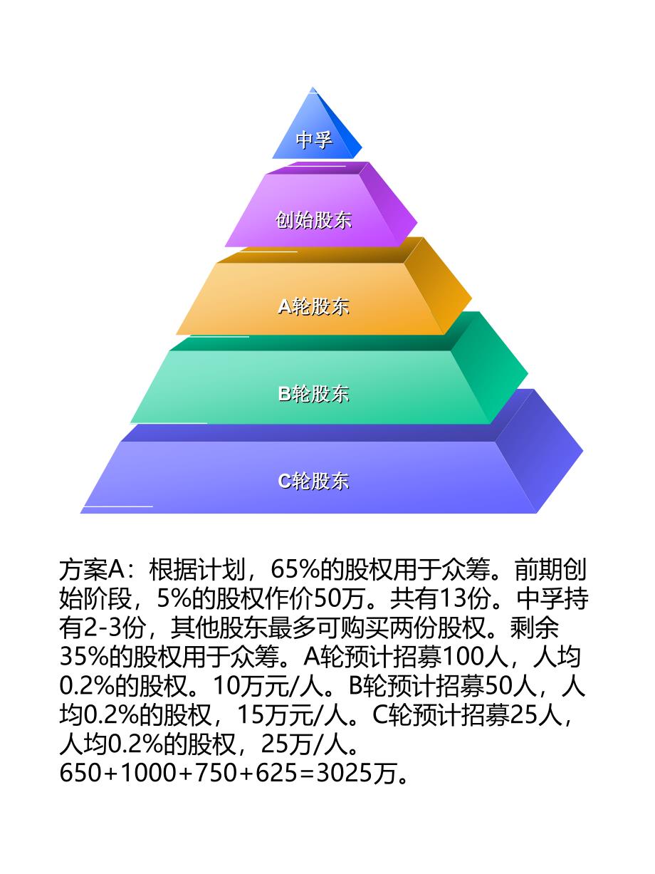 4种股东设计方案_第1页