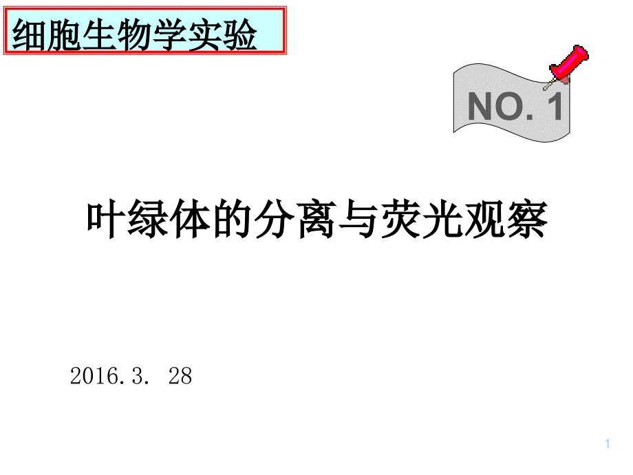 叶绿体的分离与荧光观察_第1页