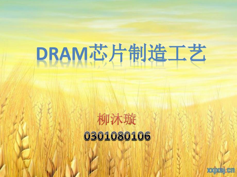 DRAM制造工艺_第1页