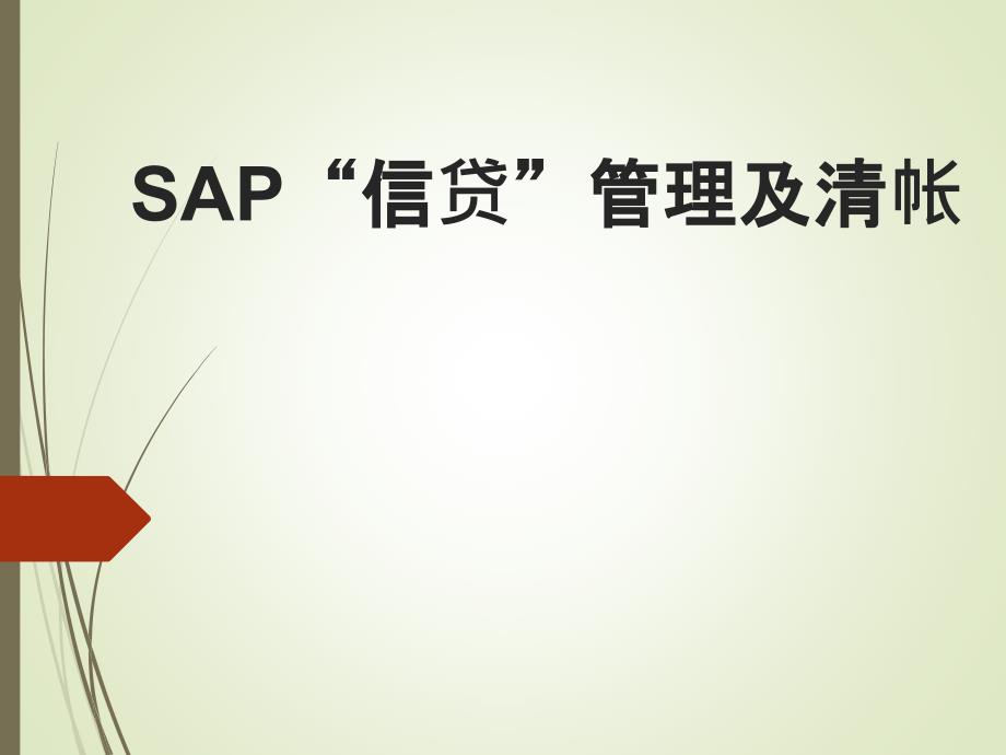 SAP系统信贷管理及清帐_第1页