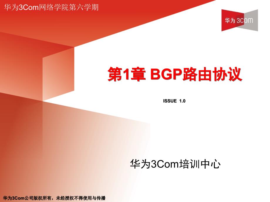 BGP路由协议_第1页