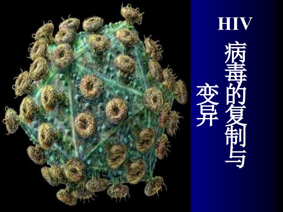 HIV病毒的复制与变异_第1页