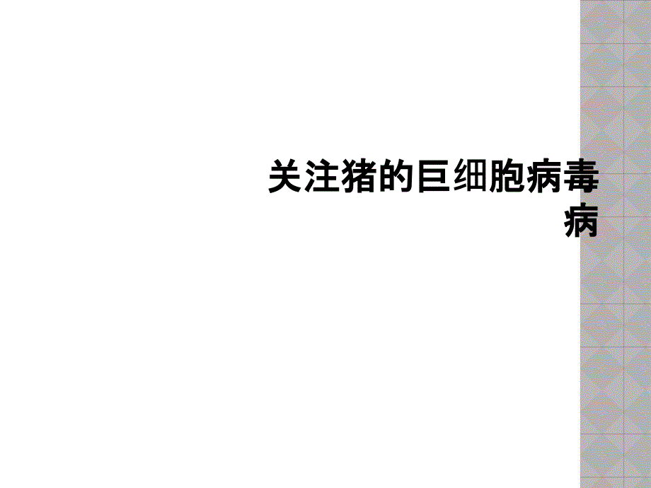 关注猪的巨细胞病毒病_第1页