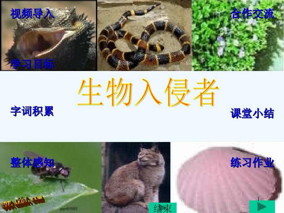 《生物入侵者》_第1页