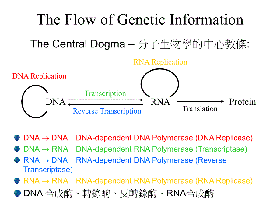 重组DNA与遗传工程_第1页