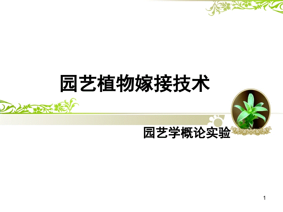 园艺植物嫁接技术(实验)_第1页