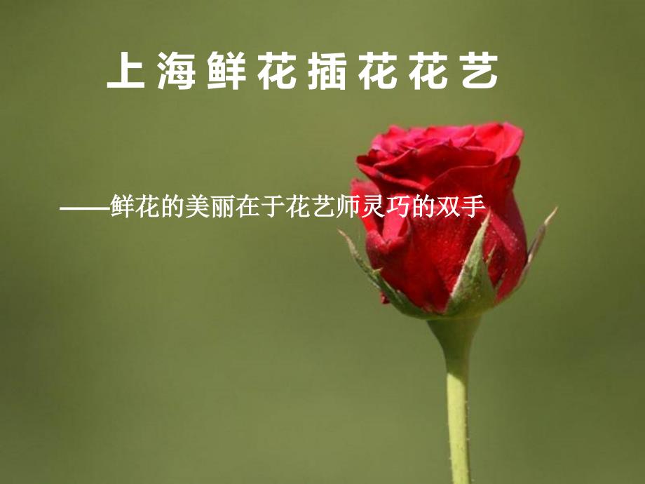 上海婚庆鲜花插花培训——使用鲜花点缀浪漫婚礼现场_第1页