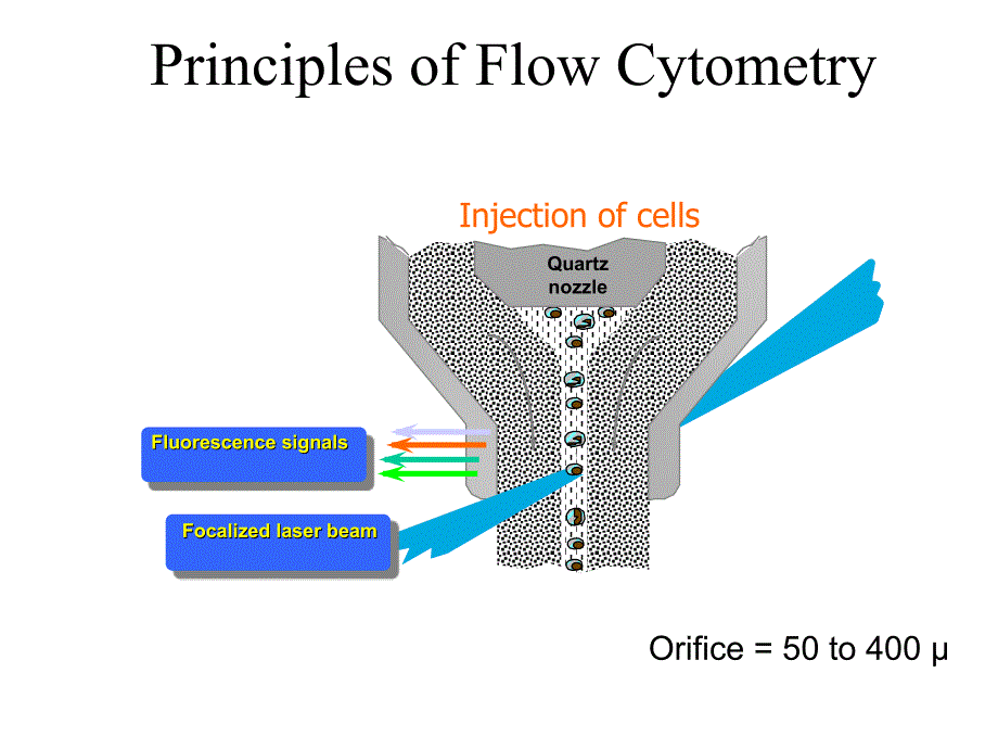 Principles of Flow Cytometry_第1页