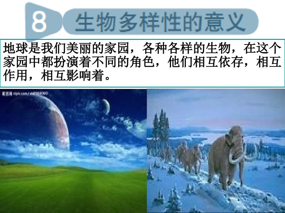 《生物多样性的意义》PPT_第1页