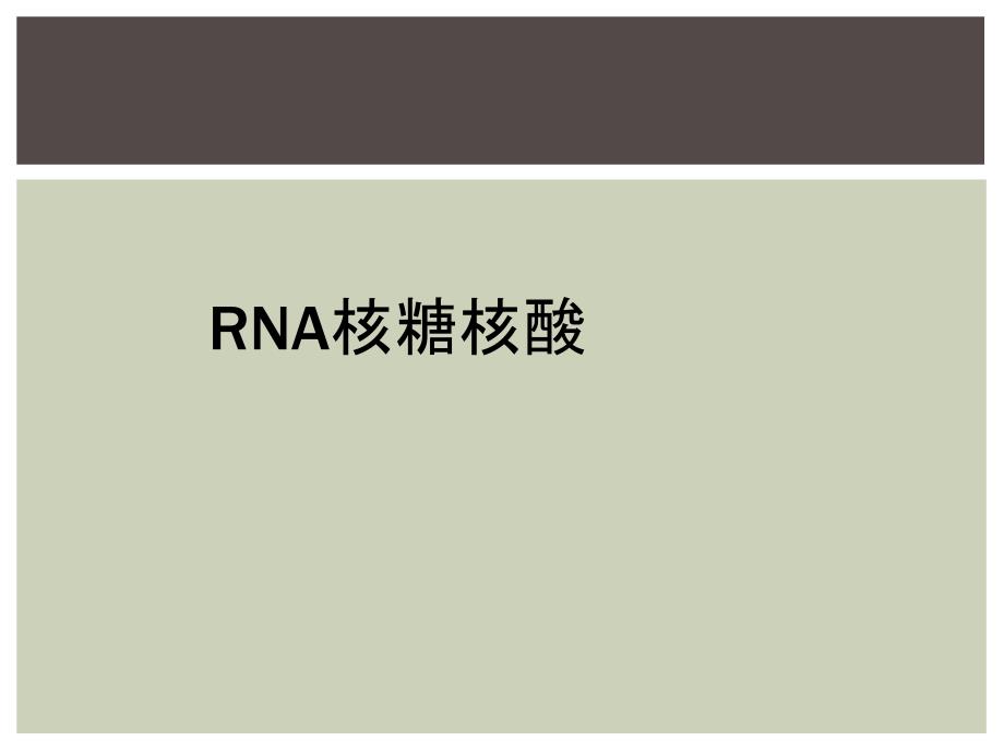 RNA核糖核酸_第1页