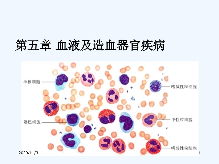 兽医外科手术学——第五章血液及造血器官疾病_第1页