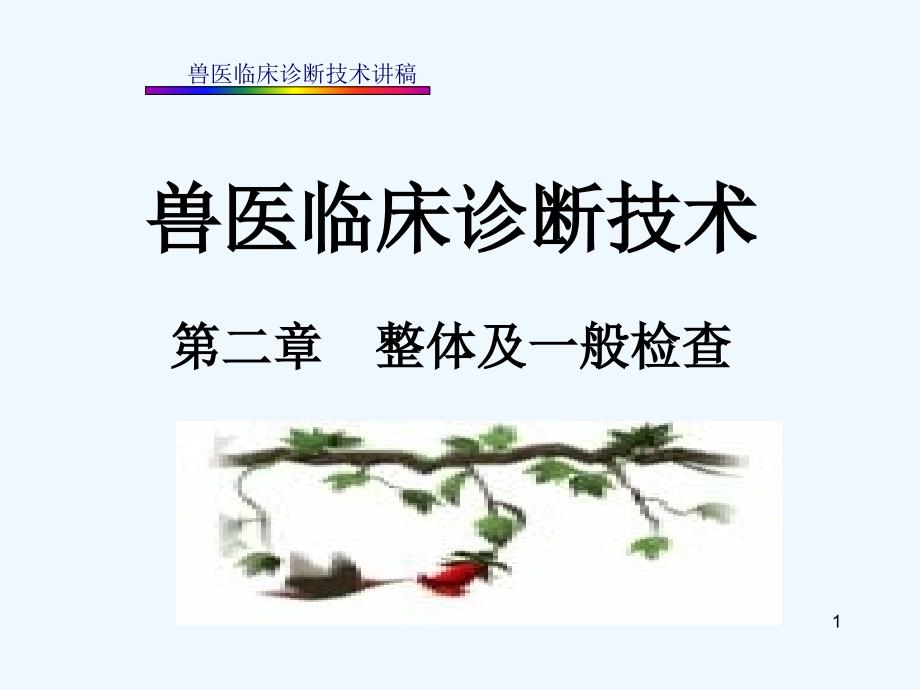 兽医临床诊断整体及一般检查_第1页