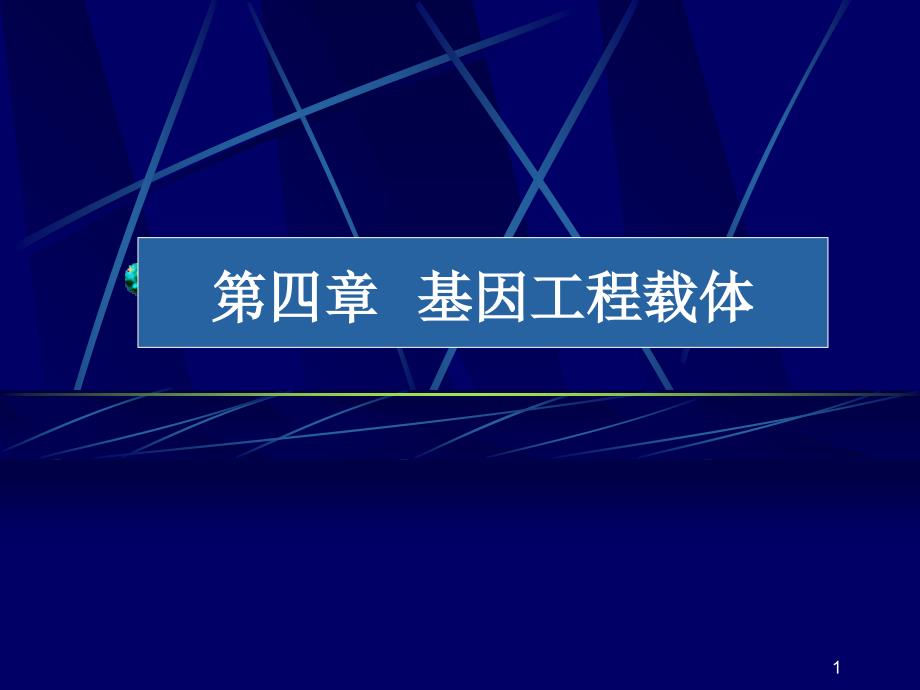 基因工程周岩基因工程载体_第1页