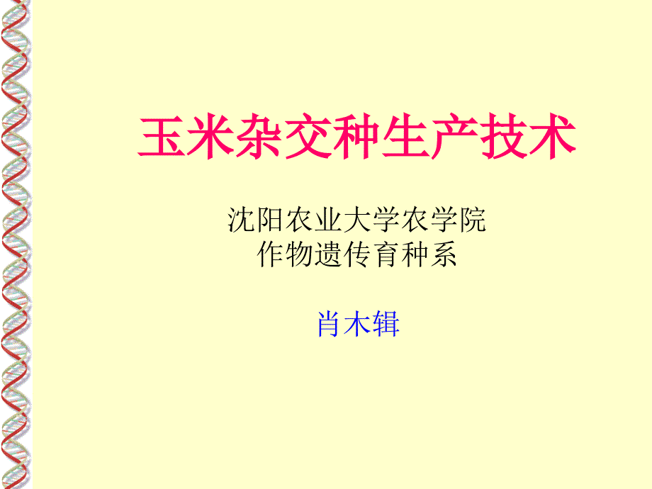 玉米杂交种生产技术培训知识_第1页