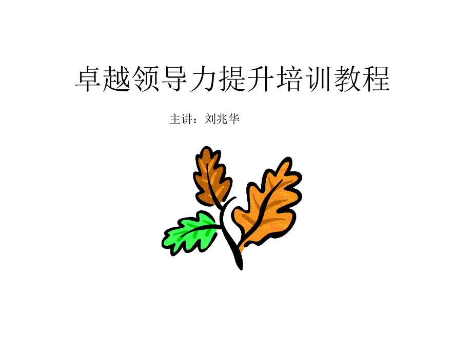 卓越领导力提升培训教程_第1页