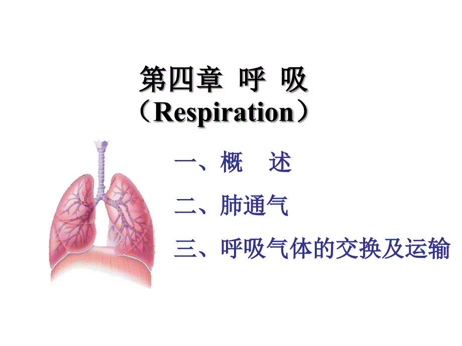 呼吸-气体交换_第1页