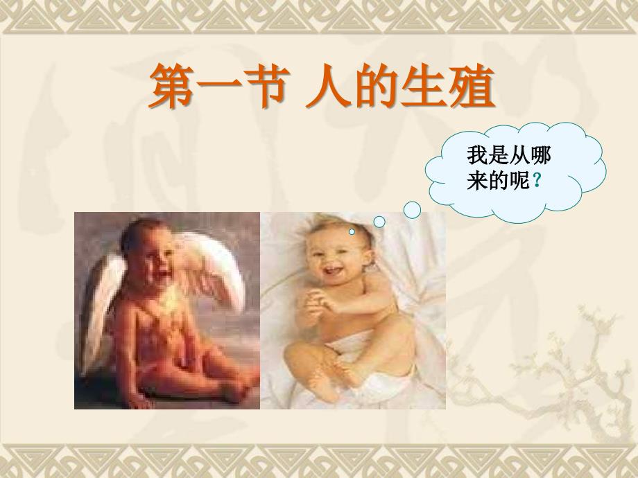 人的生殖(ppt)_第1页