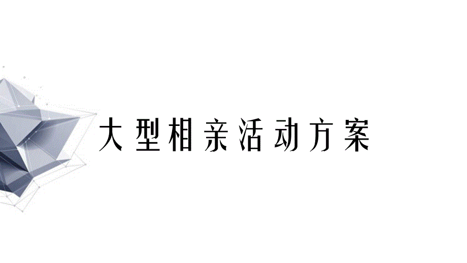 大型相亲活动方案_第1页