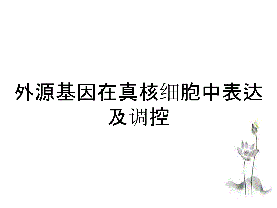 外源基因在真核细胞中表达及调控_第1页