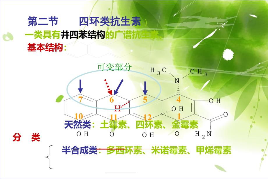 四环素类抗生素概述_第1页