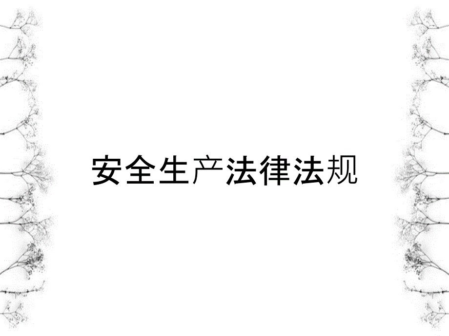 安全生产法律法规_第1页