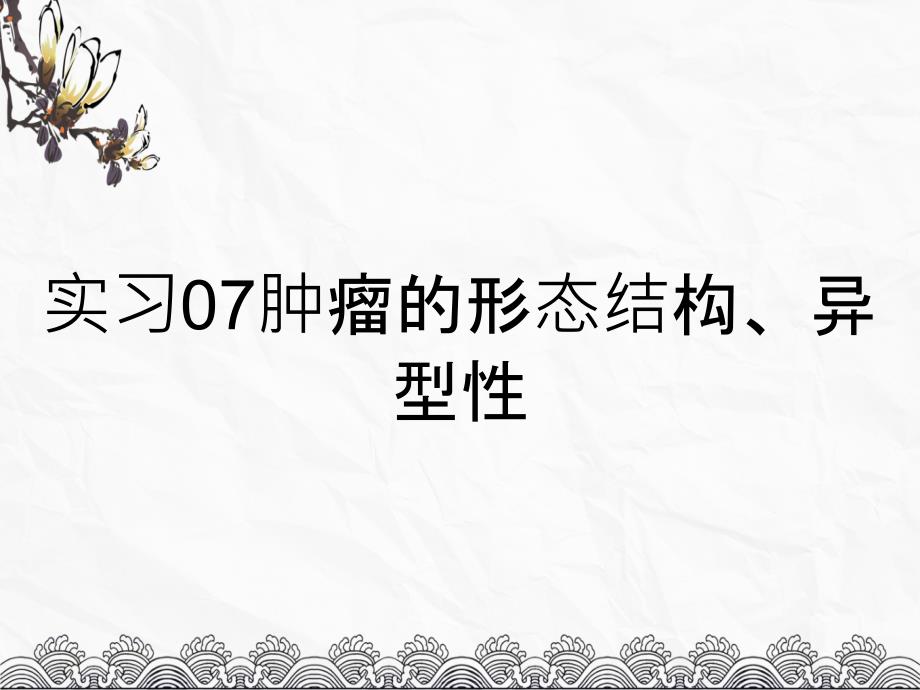 实习07肿瘤的形态结构、异型性_第1页