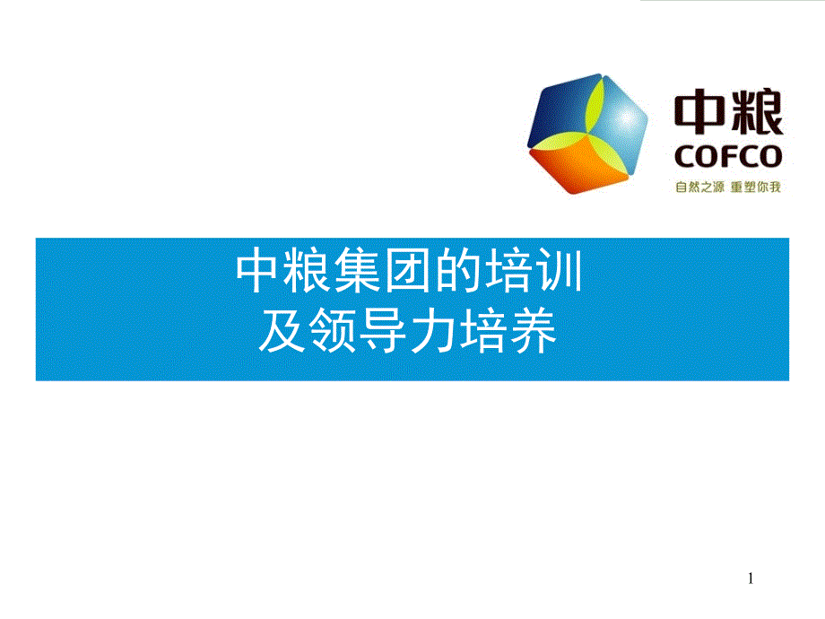 某集团领导力培养训练课程_第1页