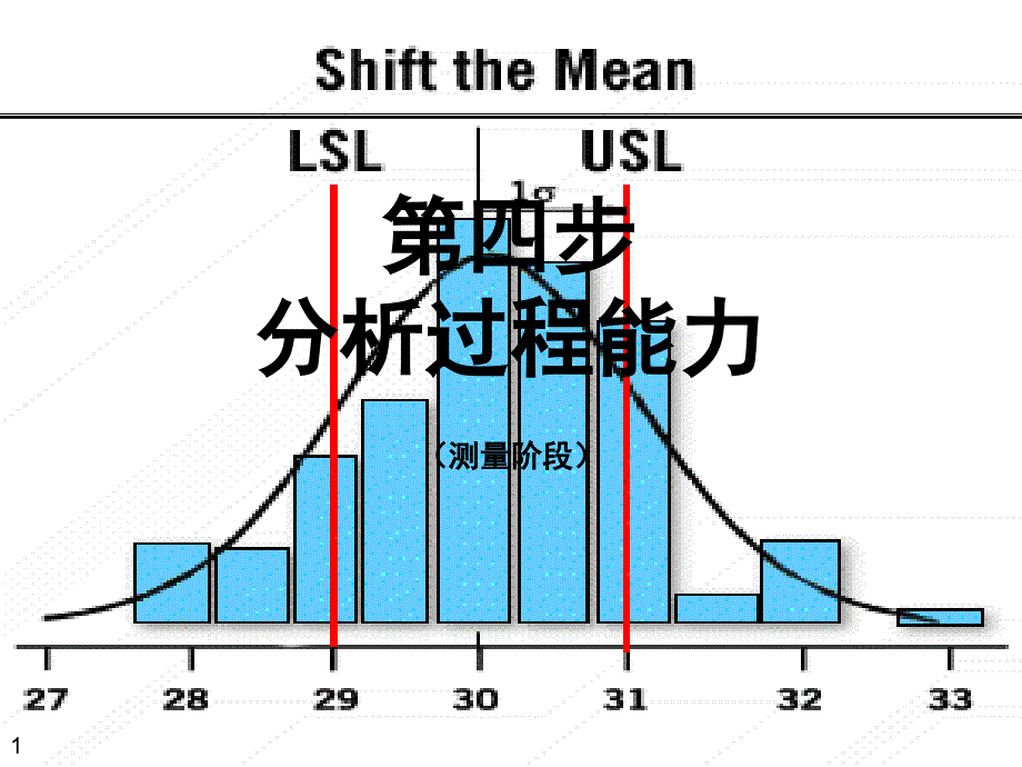 某公司项目管理及测量过程能力_第1页