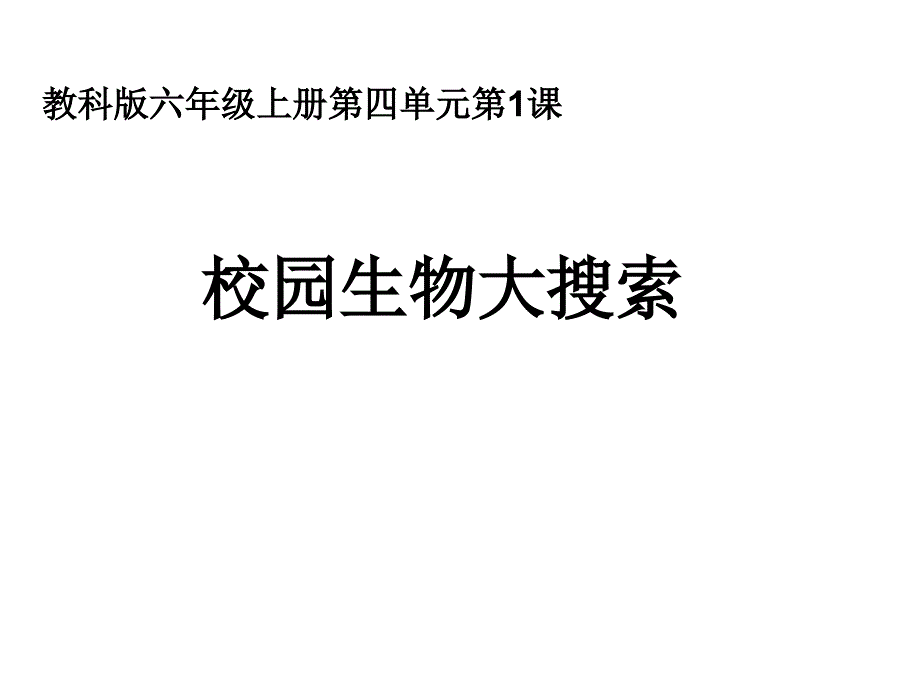 四、1校园生物大搜索_第1页