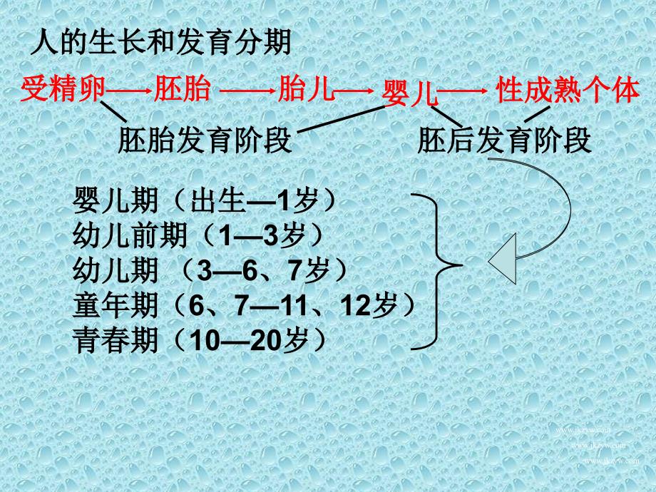 第三节青春期用_第1页