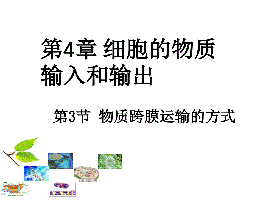 《物质跨膜运输的方式》(含动画优质课、公开课用）必修1高中生物课件 第三节_第1页