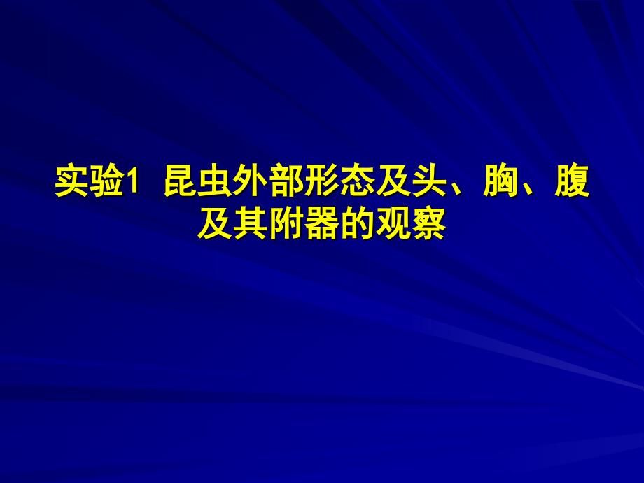 园林植物病虫害防治课件7_第1页