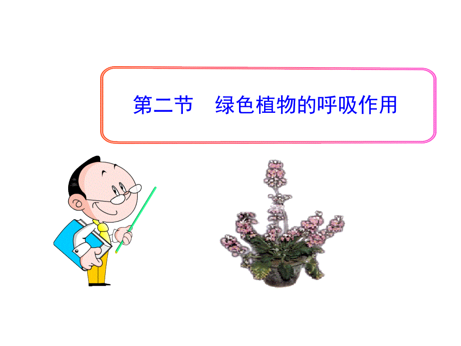 绿色植物的呼吸作用_第1页