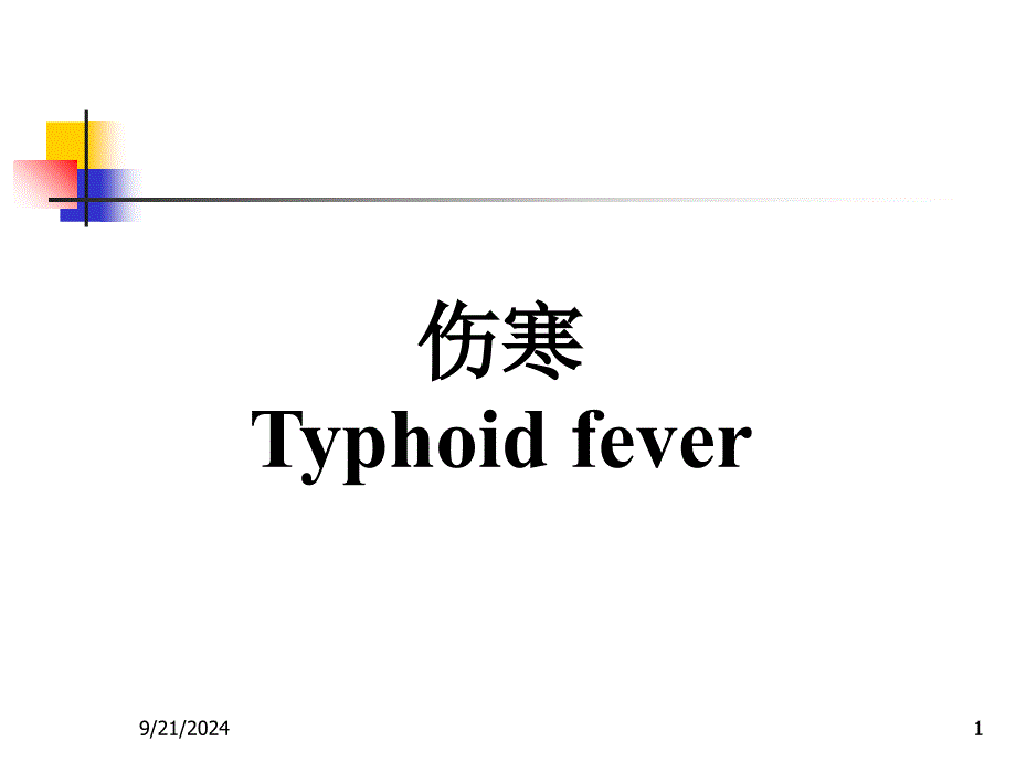 伤寒Typhoidfever_第1页