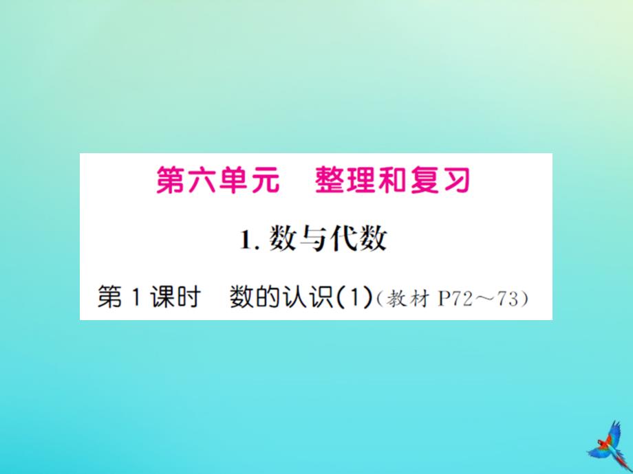 六年级数学下册第六单元整理与复习1数与代数第1课时数的认识1习题课件新人教版_第1页