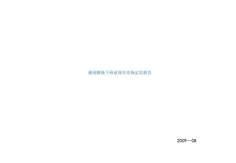 2009南京湖南路地下商业项目市场定位申报_第1页