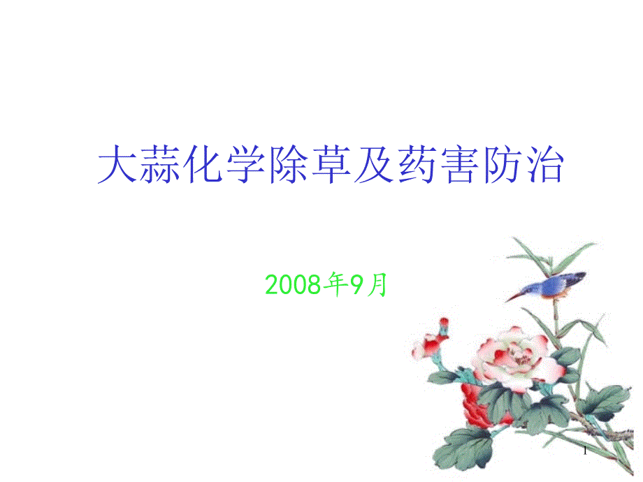 大蒜化学除草及药害_第1页