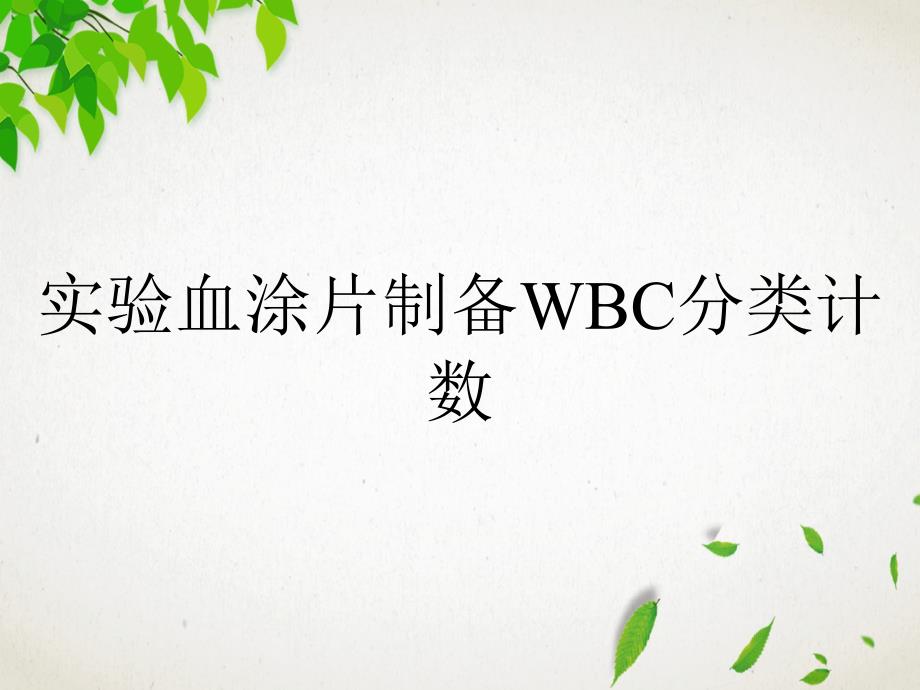 实验血涂片制备WBC分类计数_第1页