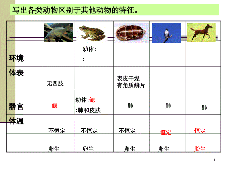 常见的动物(第三课时)_第1页