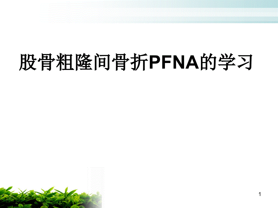 股骨粗隆间骨折PFNA_第1页